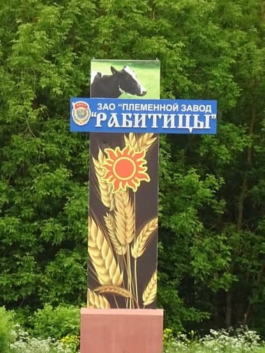 Рабитицы