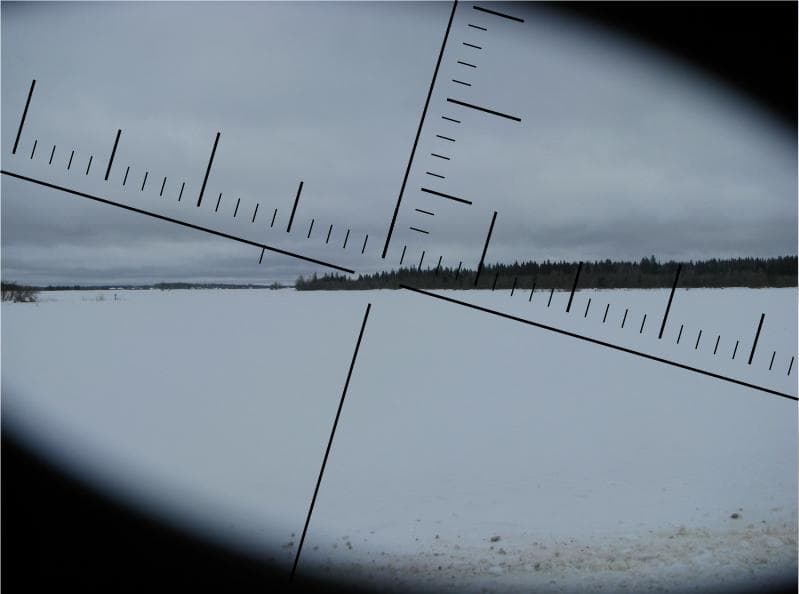 Танковый бой. Торосовский лес.