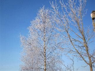 Волосовский район. Наши дни